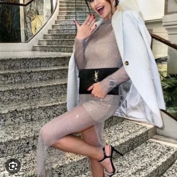 Zara Sheer Silver Midi Dress - Picture 7 of 8